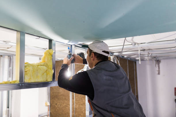 Best Residential Insulation in Paintsville, KY