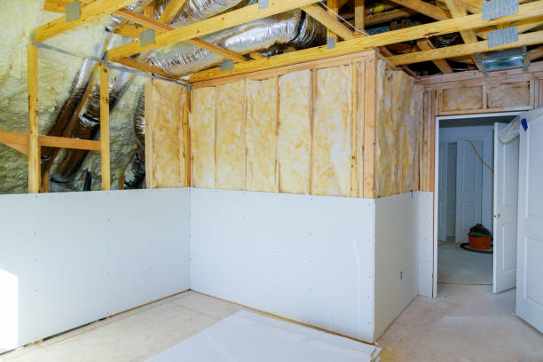 Best Spray Foam Insulation in Paintsville, KY