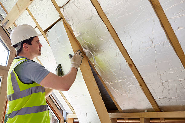 Best Insulation Maintenance and Repair in Paintsville, KY