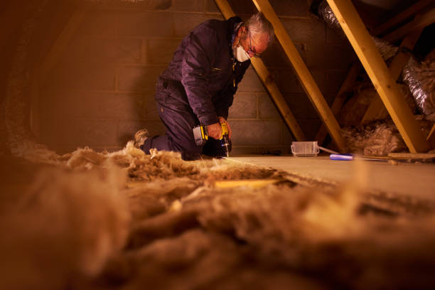 Best Blown-in Insulation in Paintsville, KY